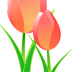 Med en enkel tulipan text